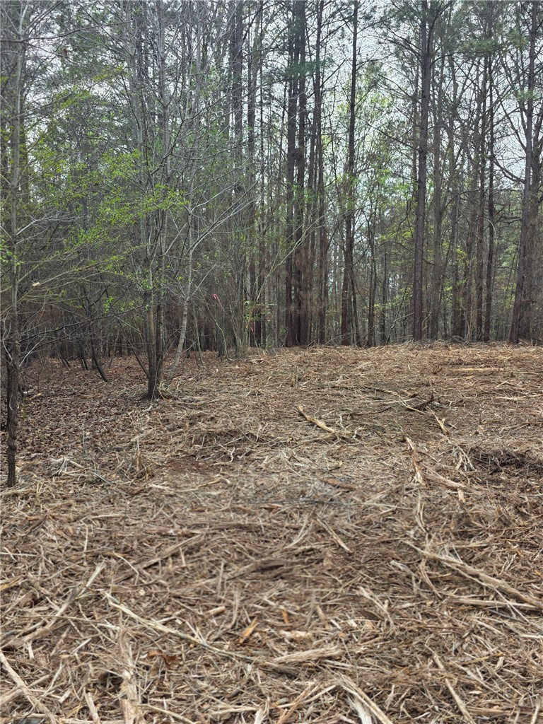 Lot 134 Mcalister Rd Union West Union, SC 29696 - Photo 29 of 31 This expansive lot offers abundant natural beauty, perfect for your envisioned private retreat.