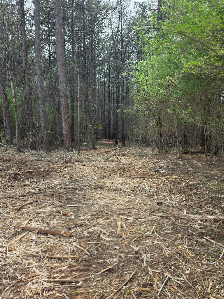 Lot 134 Mcalister Rd Union West Union, SC 29696 - Photo 30 of 31 A tranquil path winds through a serene forest, offering a peaceful natural escape.