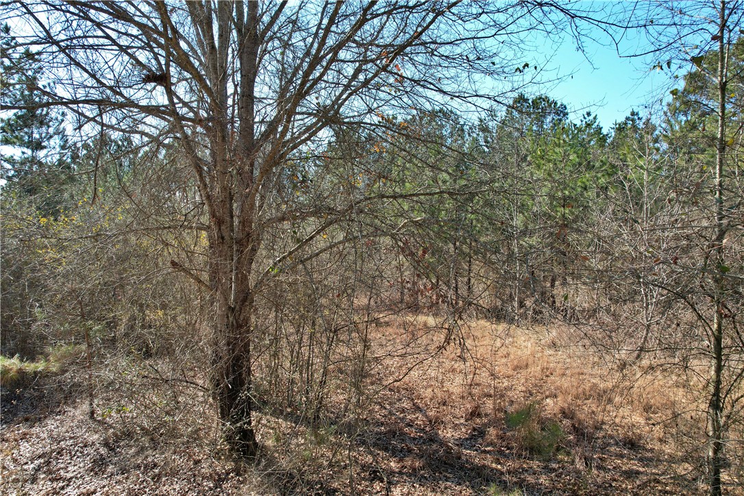 Lot 134 Mcalister Rd Union West Union, SC 29696 - Photo 10 of 31