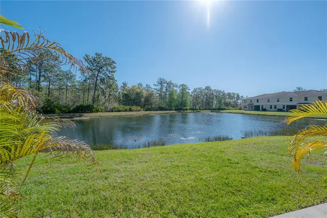 a view of a garden with a tree