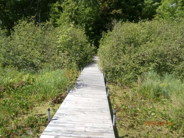 On Highview Lane Rib Lake, WI 54470 - Photo 4 of 15 Gallery Image 4