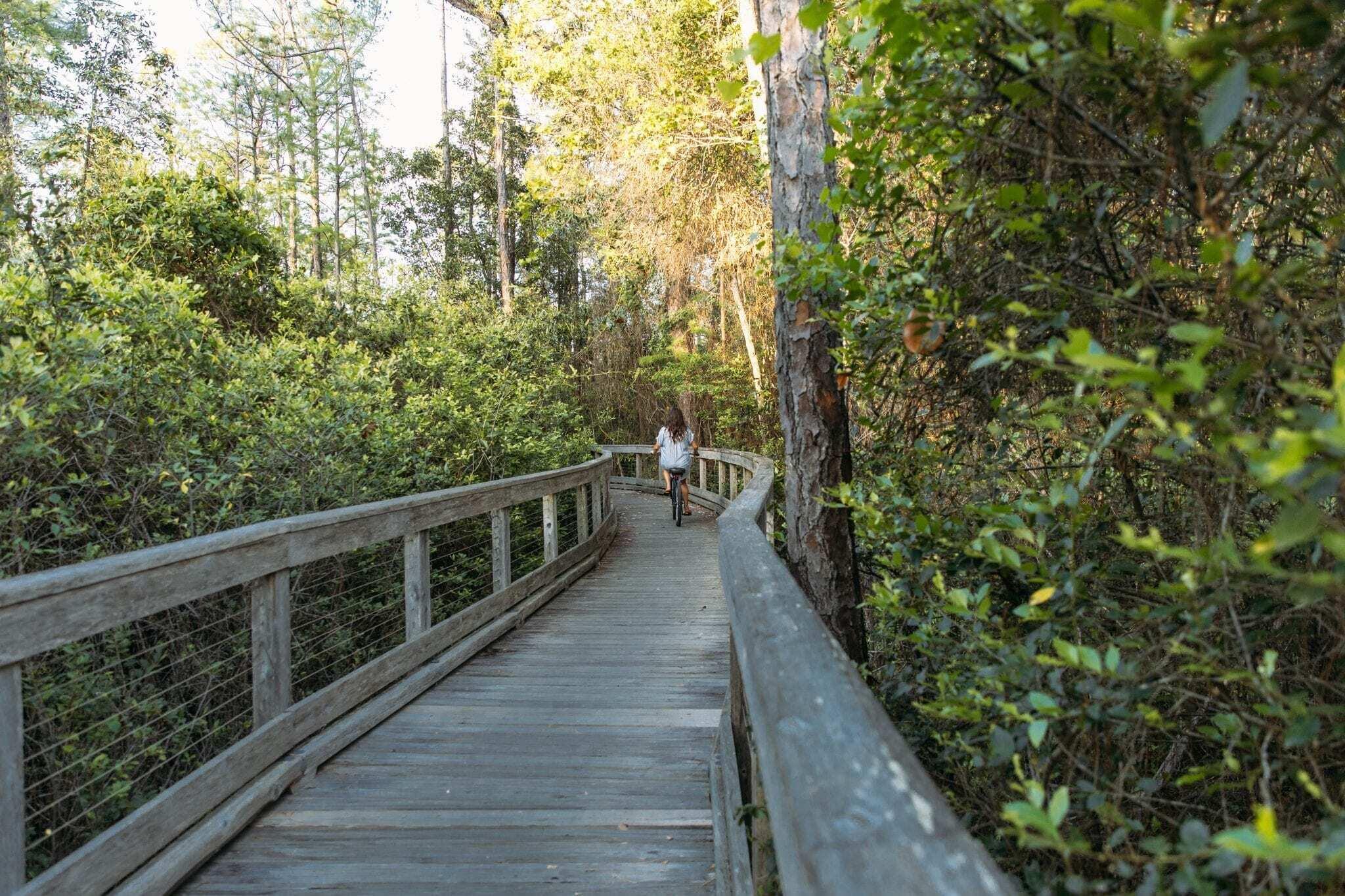 Tbd Tbd Mark Twain Ln Inlet Beach, Unit DANNELLY 302 Inlet Beach, FL 32461 - Photo 16 of 19 a view of balcony and yard