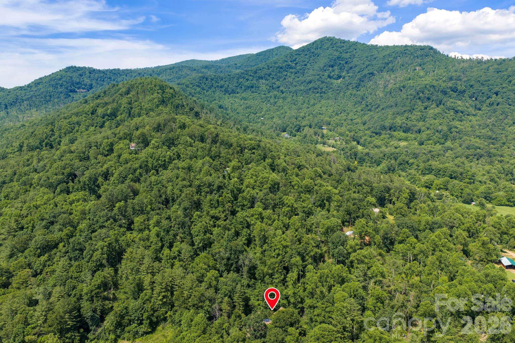 235 Bull Creek Road Asheville, NC 28805 - Photo 45 of 47 a view of a field with a tree