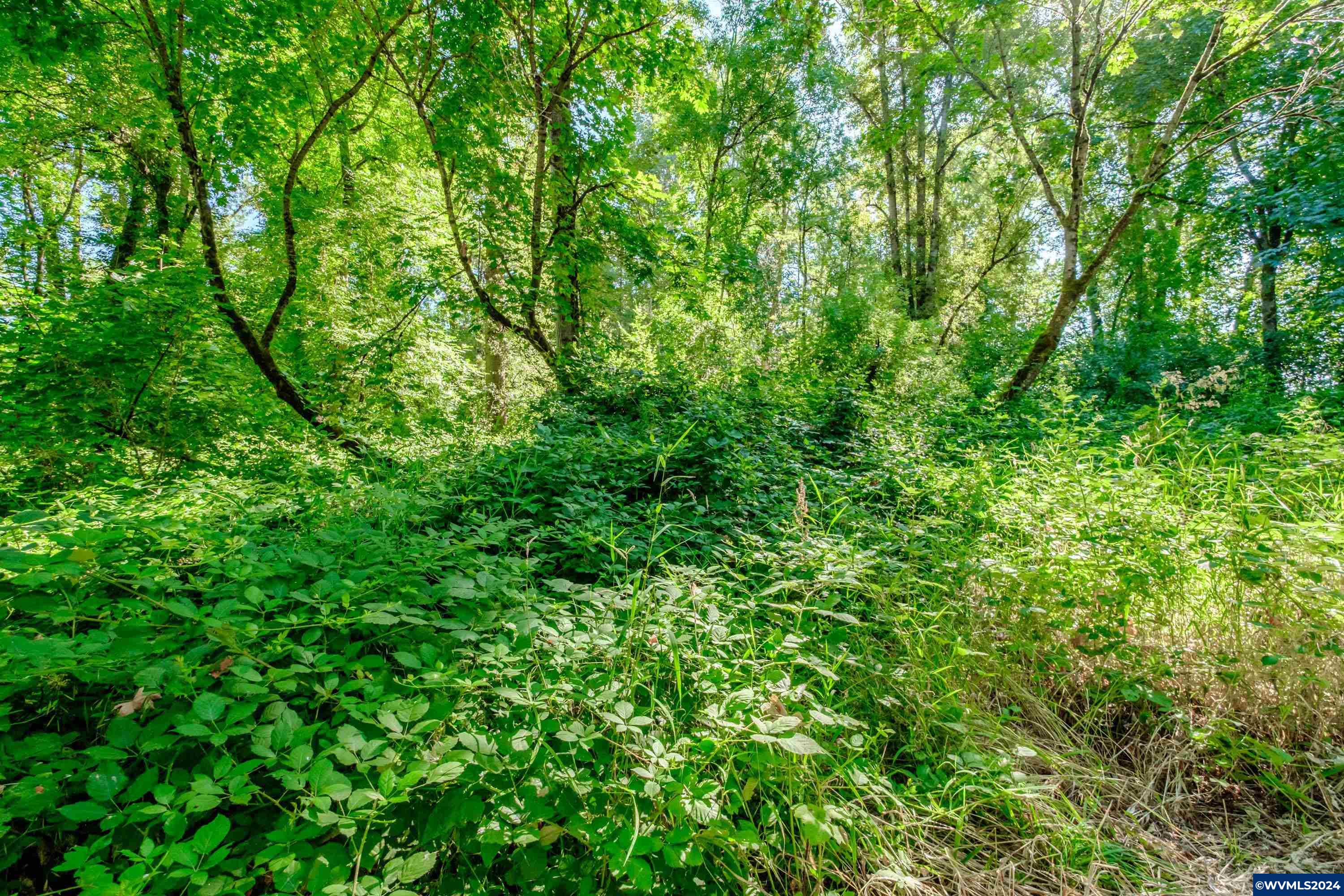 Lot 1 Matheny Road Gervais, OR 97026 - Photo 2 of 21