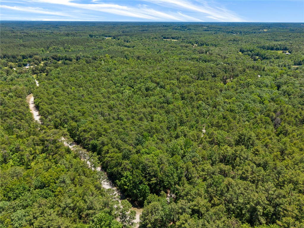 0 Pine Mountain Road Tamassee, SC 29686 - Photo 10 of 15