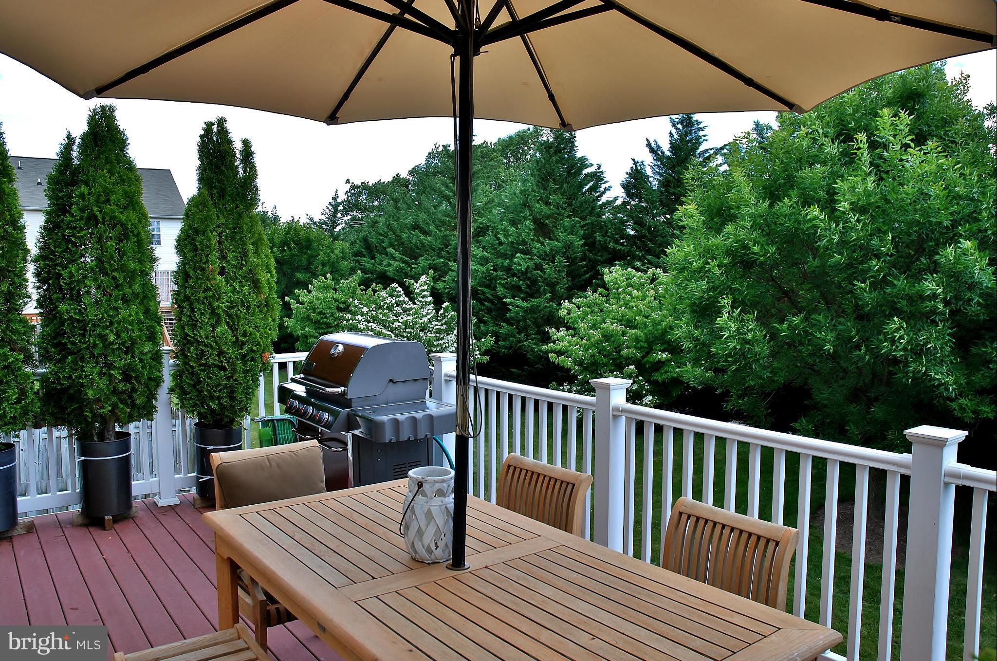 14038 Rockingham Road Germantown, MD 20874 - Photo 15 of 15 deck to treed view