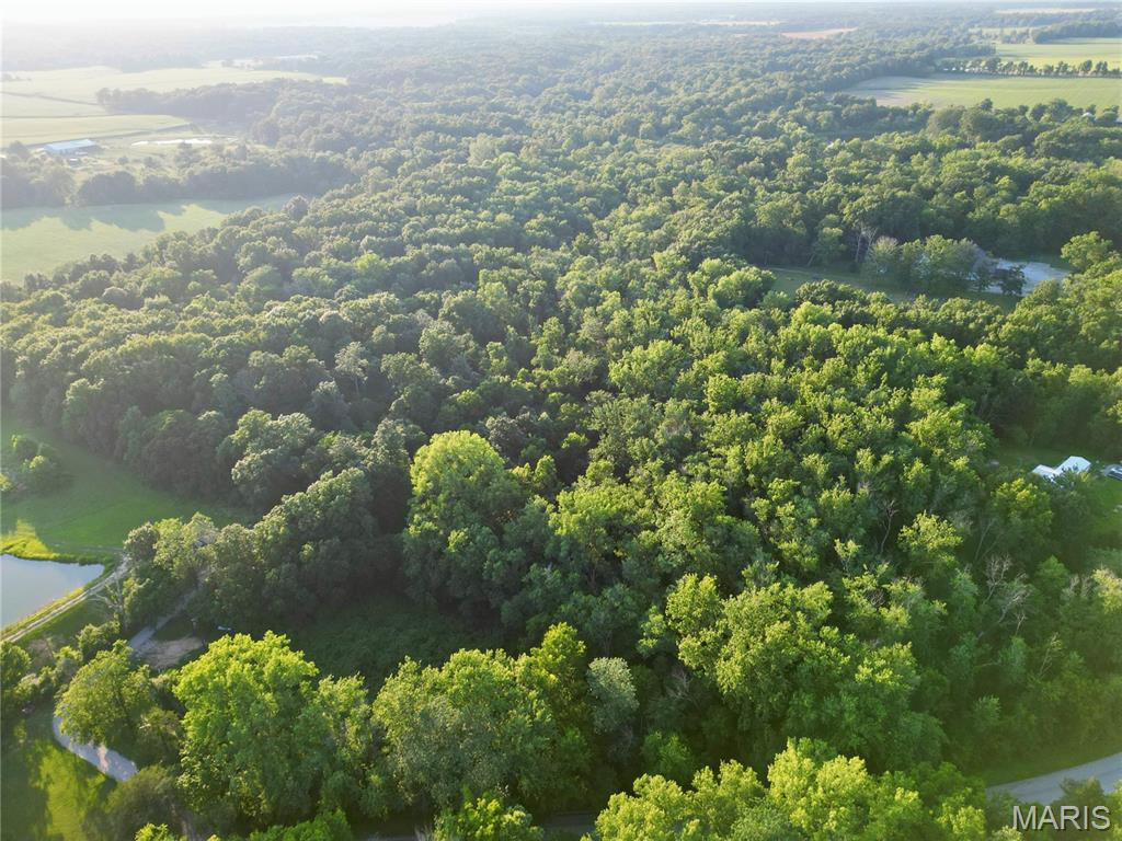0 County Farm Road Kell, IL 62853 - Photo 7 of 25