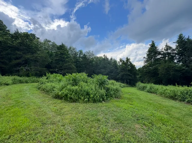 a view of a garden with a building in the background