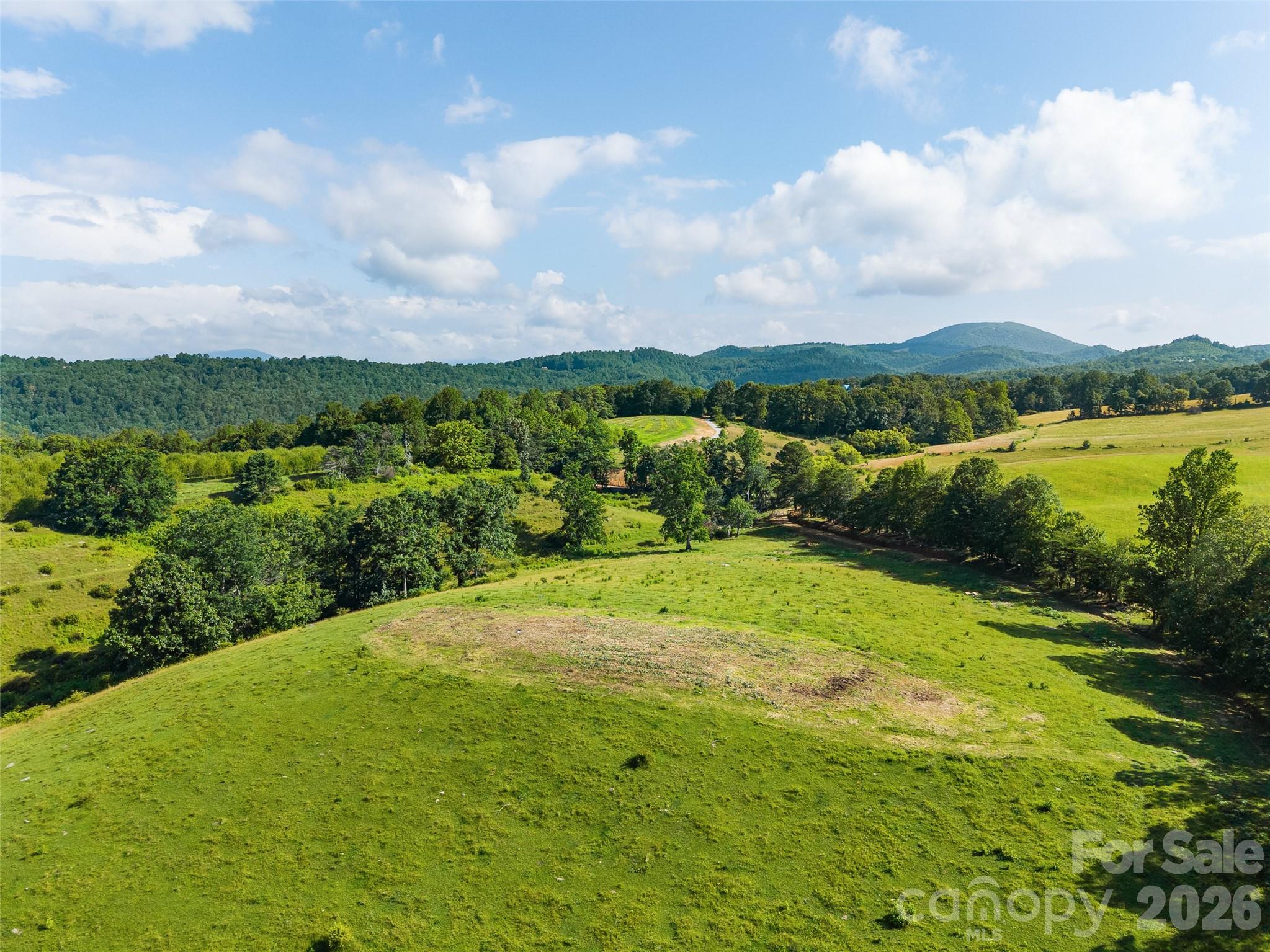 0 Summer Road, Unit 3 Hendersonville, NC 28792 - Photo 6 of 20