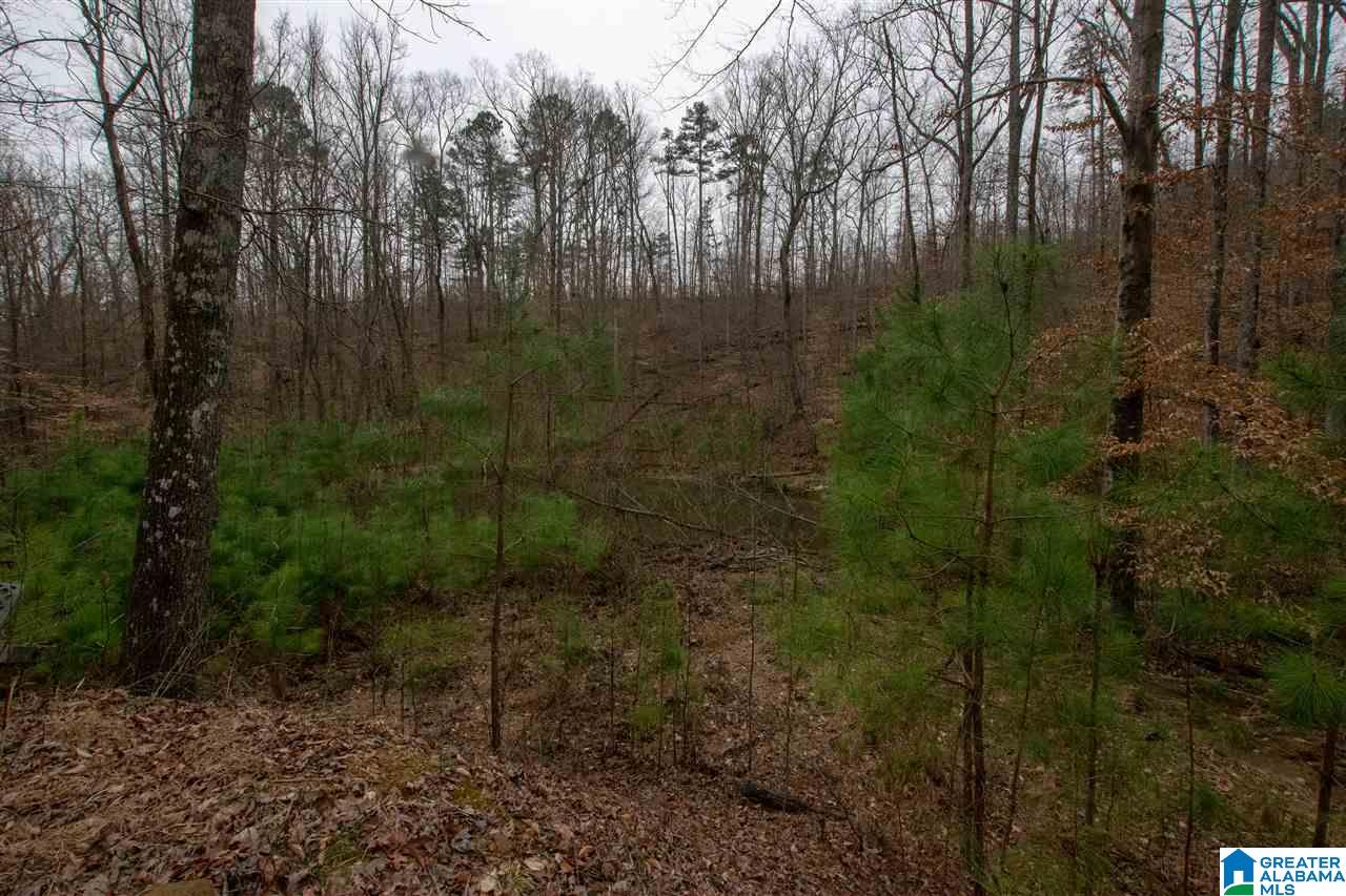 1055 Ranger Trail Warrior, AL 35180 - Photo 18 of 32