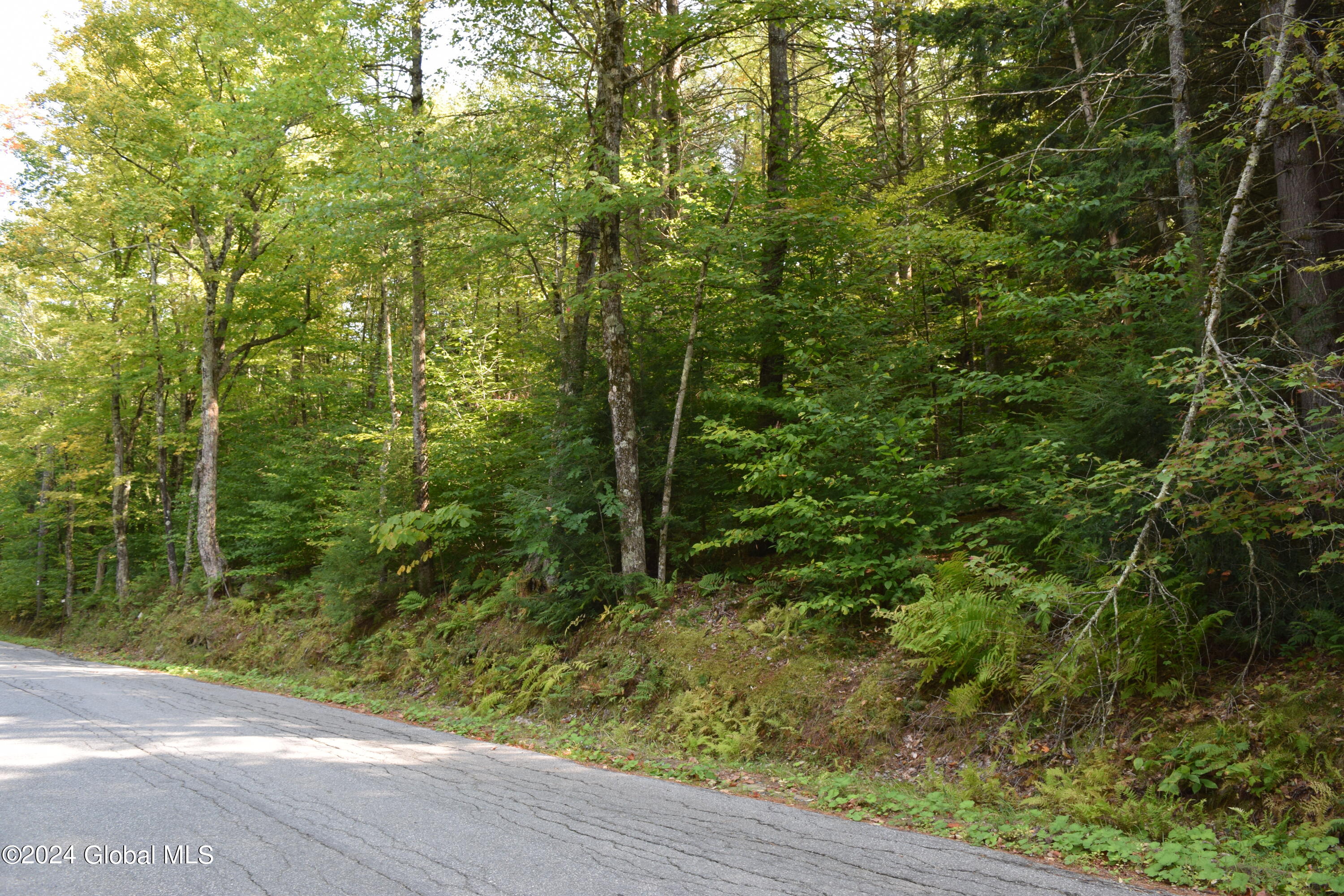 L3.5 Parker Road Corinth, NY 12822 - Photo 2 of 6 2