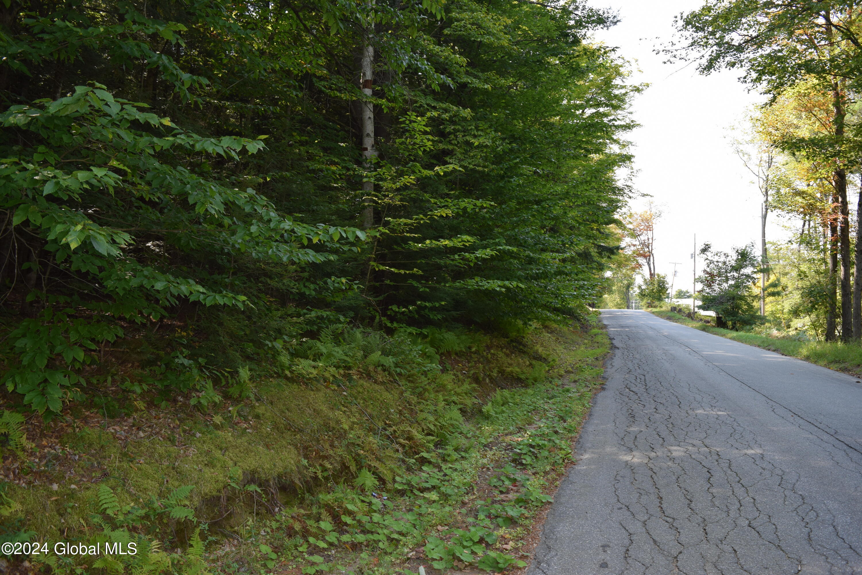 L3.5 Parker Road Corinth, NY 12822 - Photo 3 of 6 3