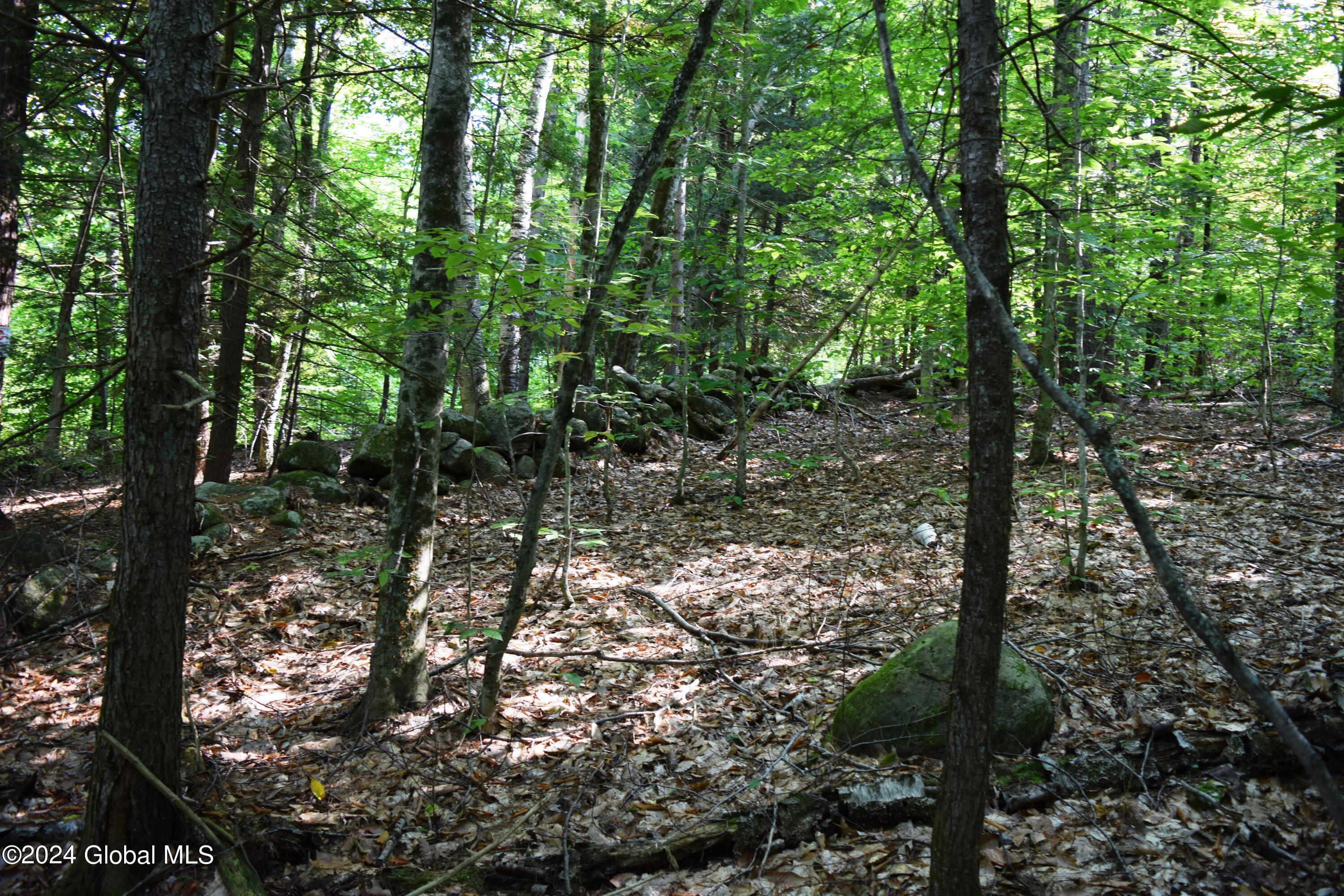 L3.5 Parker Road Corinth, NY 12822 - Photo 4 of 6 4