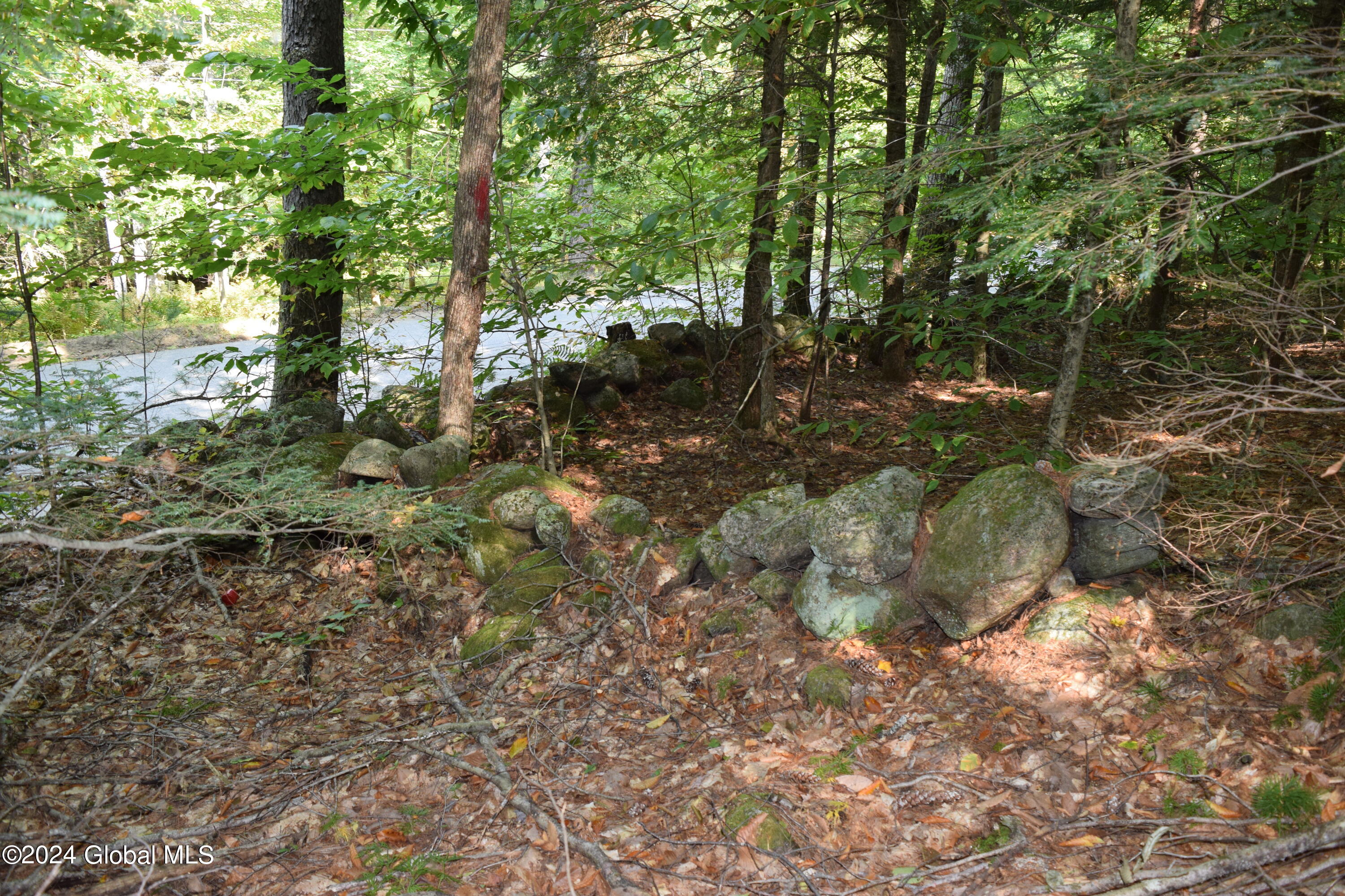 L3.5 Parker Road Corinth, NY 12822 - Photo 5 of 6 5