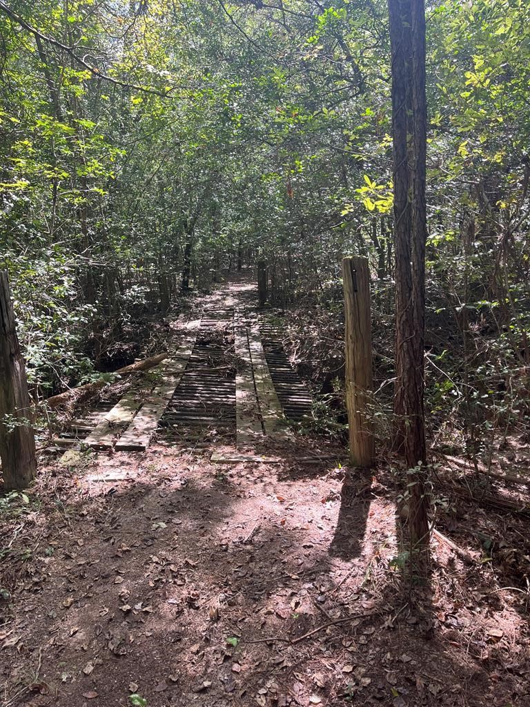 893 Capps Road Huntington, TX 75949 - Photo 23 of 33