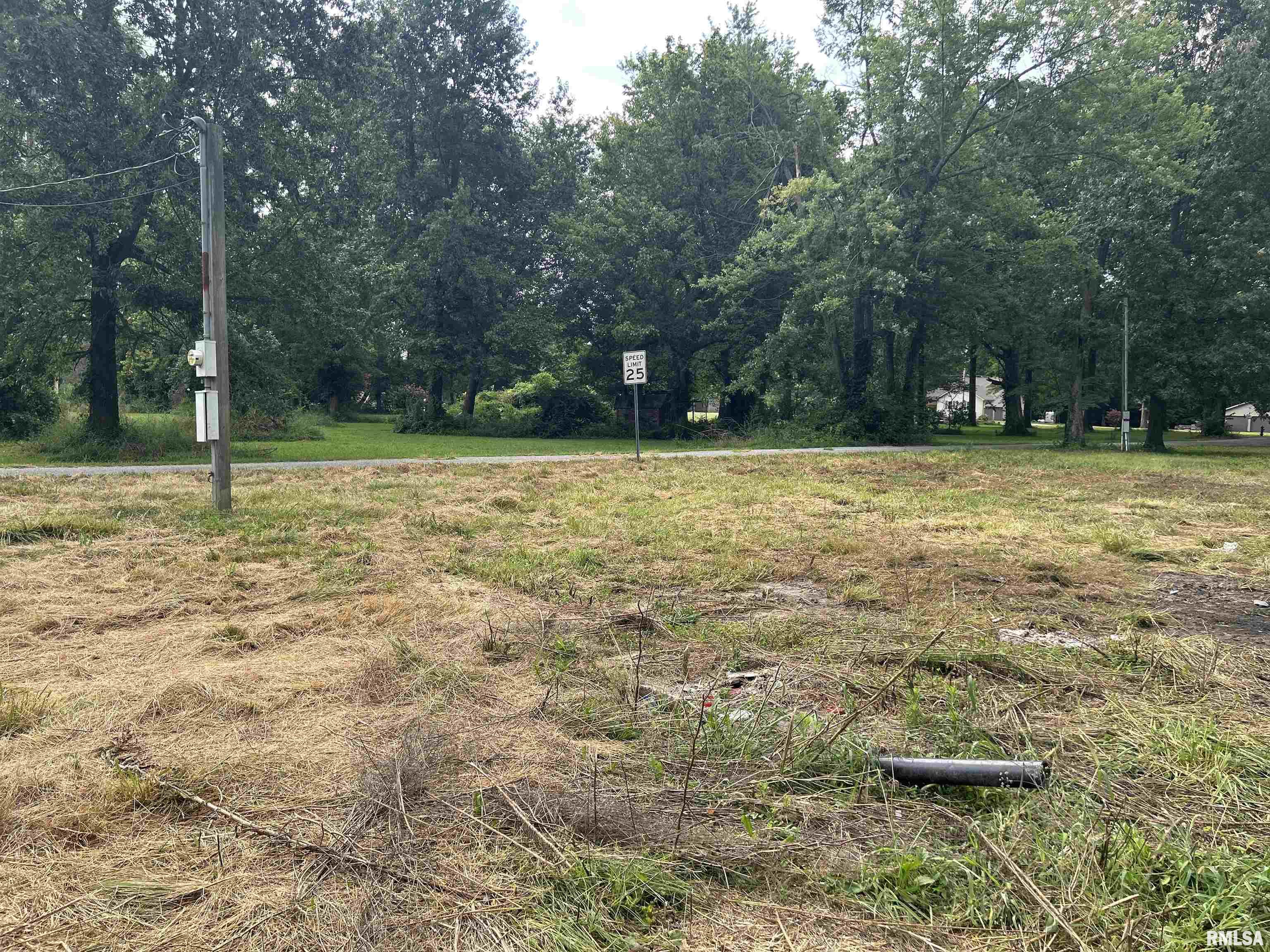 1207 Gentile Street Colp, IL 62921 - Photo 3 of 10