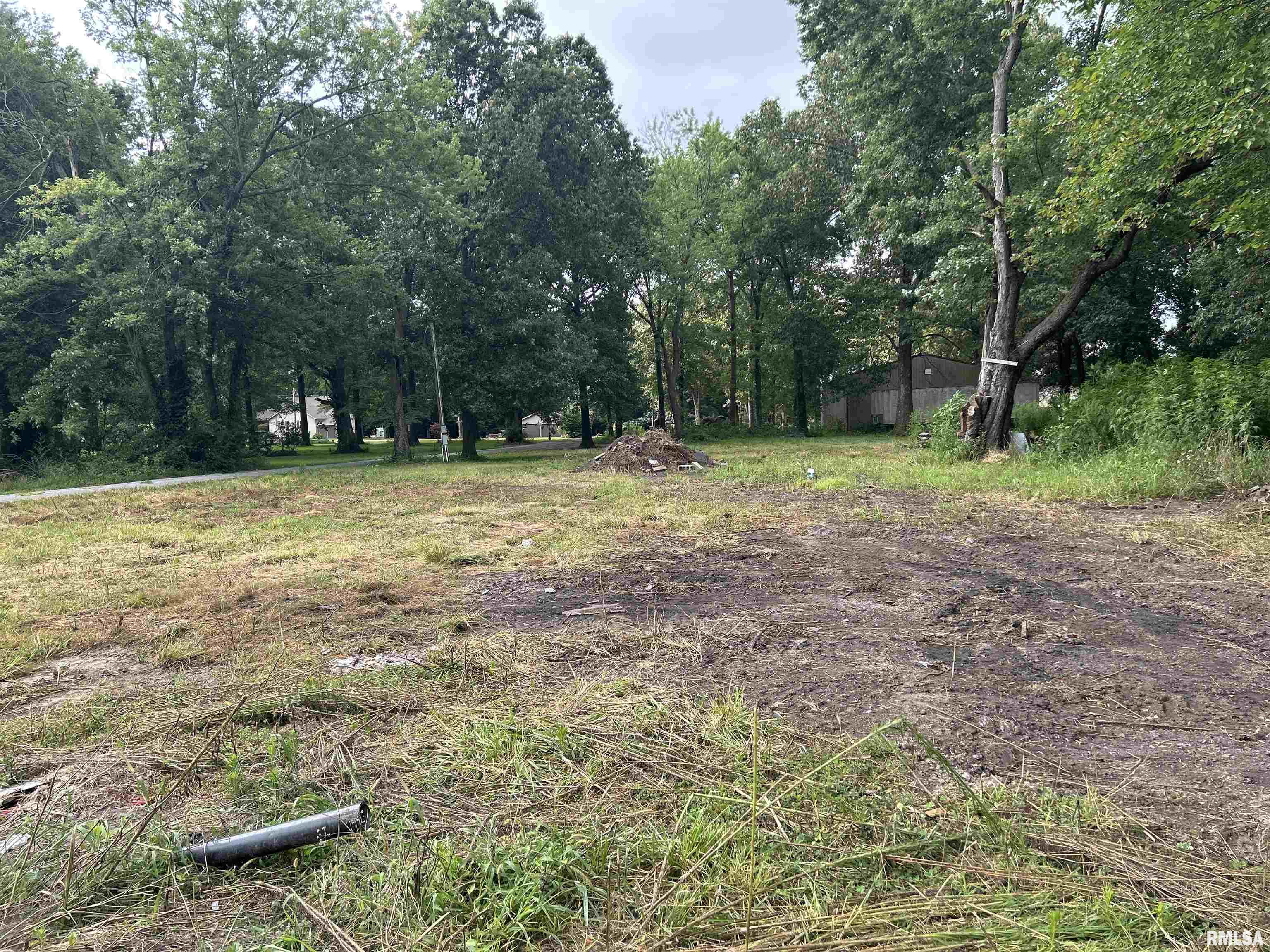 1207 Gentile Street Colp, IL 62921 - Photo 5 of 10