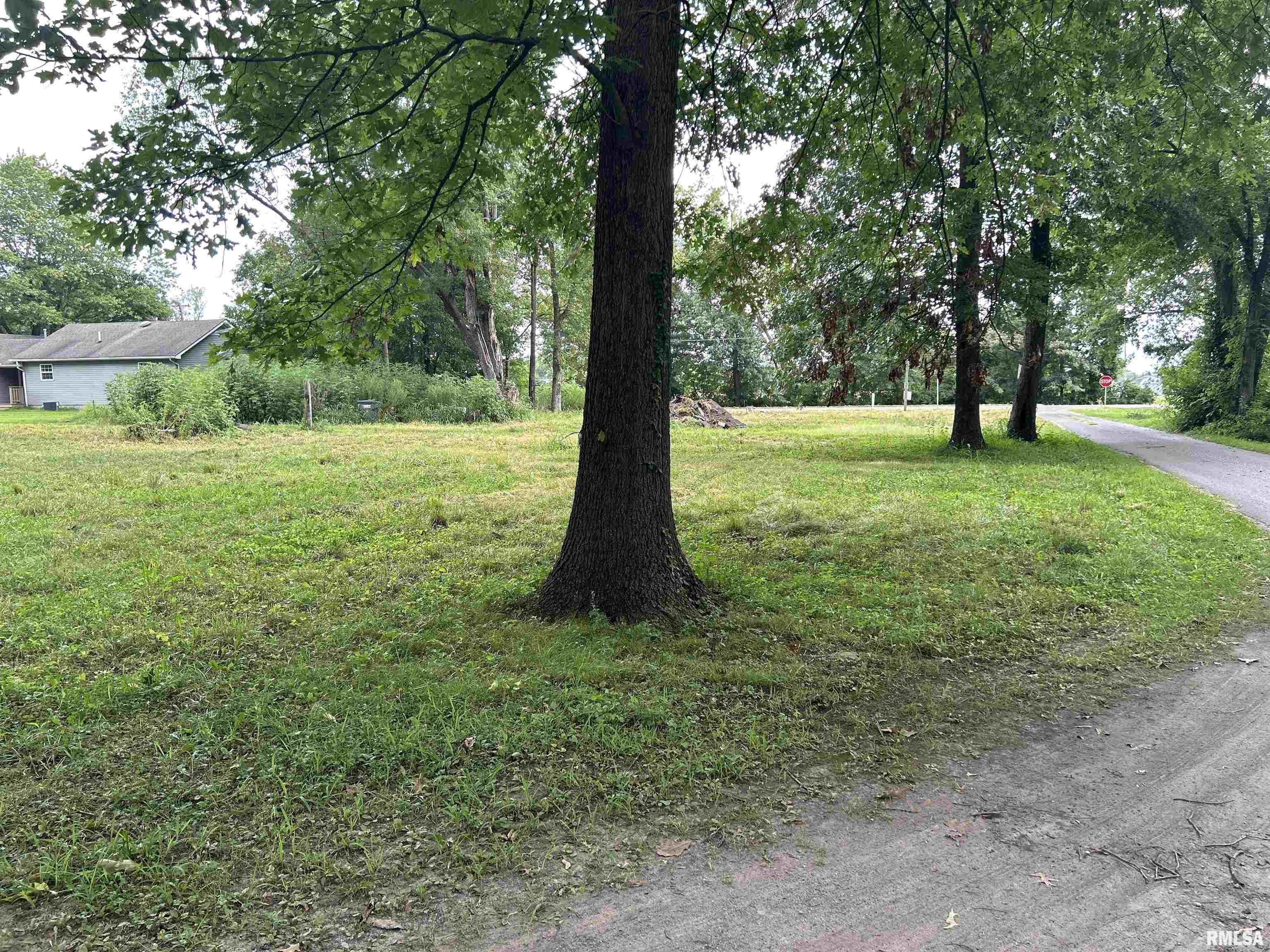 1207 Gentile Street Colp, IL 62921 - Photo 7 of 10