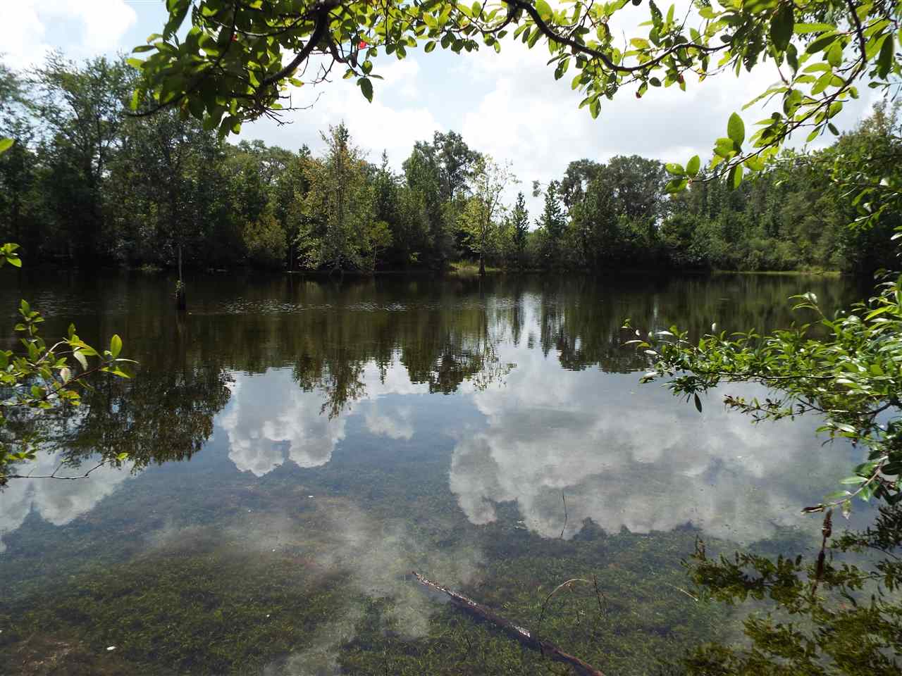 0 Cotton Road Flomaton, AL 36441 - Photo 3 of 6 Gallery Image 3