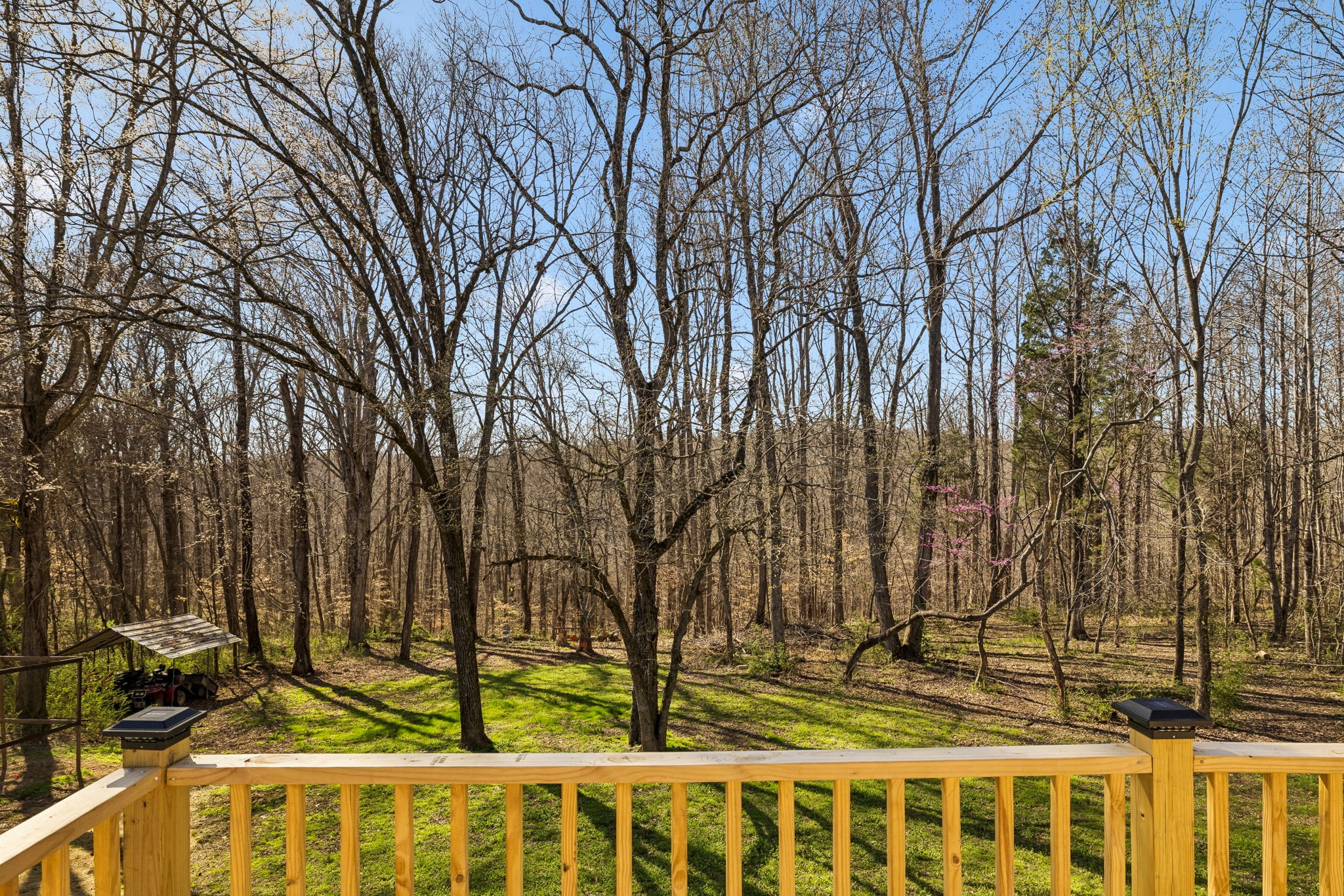 1268 Chapmansboro Road Chapmansboro, TN 37035 - Photo 43 of 55 Gallery Image 43
