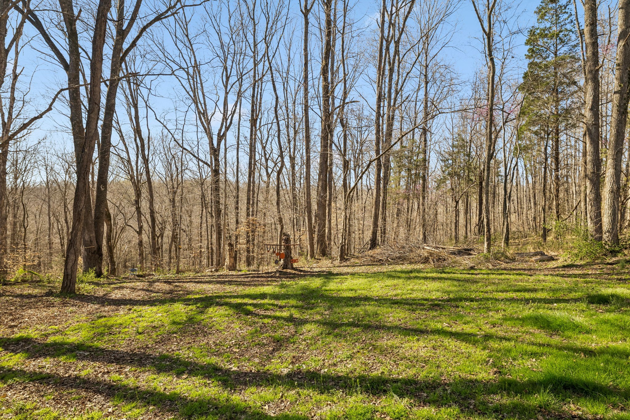 1268 Chapmansboro Road Chapmansboro, TN 37035 - Photo 52 of 55 Gallery Image 52