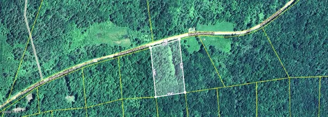 $55,000 | L2.29 L2.29 Blenheim Hill Road, Jefferson, NY 12093