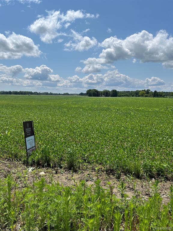 17352 Gilmore Road Armada, MI 48005 - Photo 2 of 2
