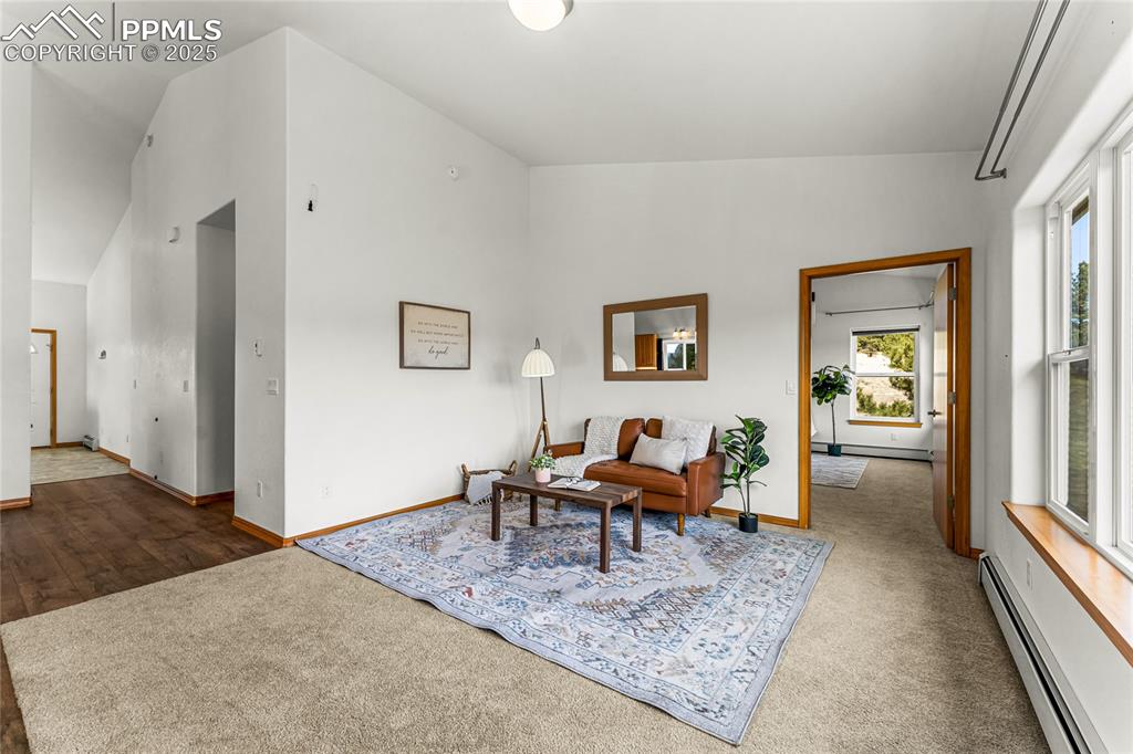 2649 Southpark Road Florissant, CO 80816 - Photo 13 of 42 a living room with furniture and a rug
