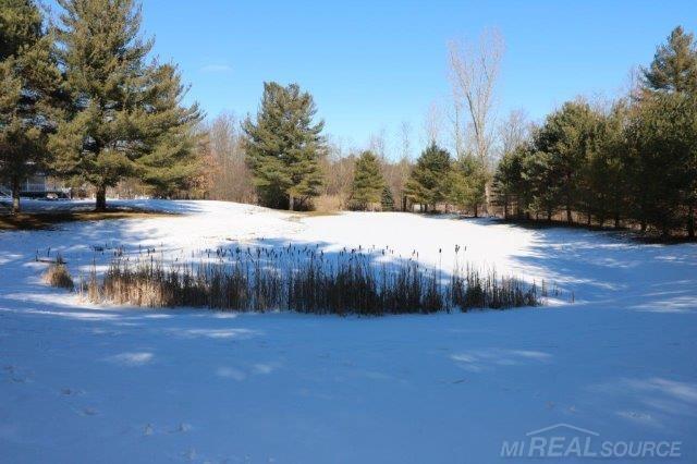 5662 Casey Road Dryden, MI 48428 - Photo 34 of 45