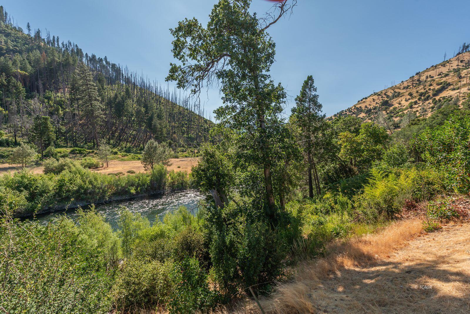 38500 Highway 299 Junction City, CA 96048 - Photo 33 of 49 a view of outdoor space and yard