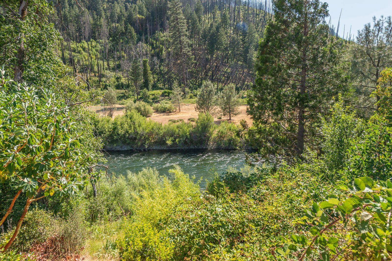 38500 Highway 299 Junction City, CA 96048 - Photo 48 of 49 a view of outdoor space and a yard