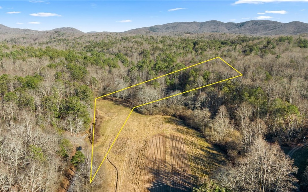 Fowler Road Ellijay, GA 30536 - Photo 12 of 20 Additional View