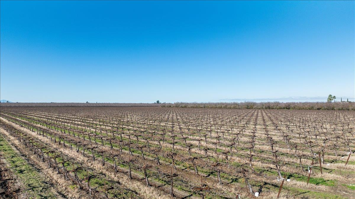 2521 Coelho Road Manteca, CA 95336 - Photo 11 of 24