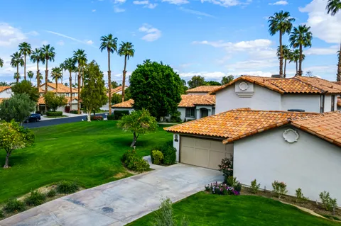 a view of a backyard with plants and palm tree