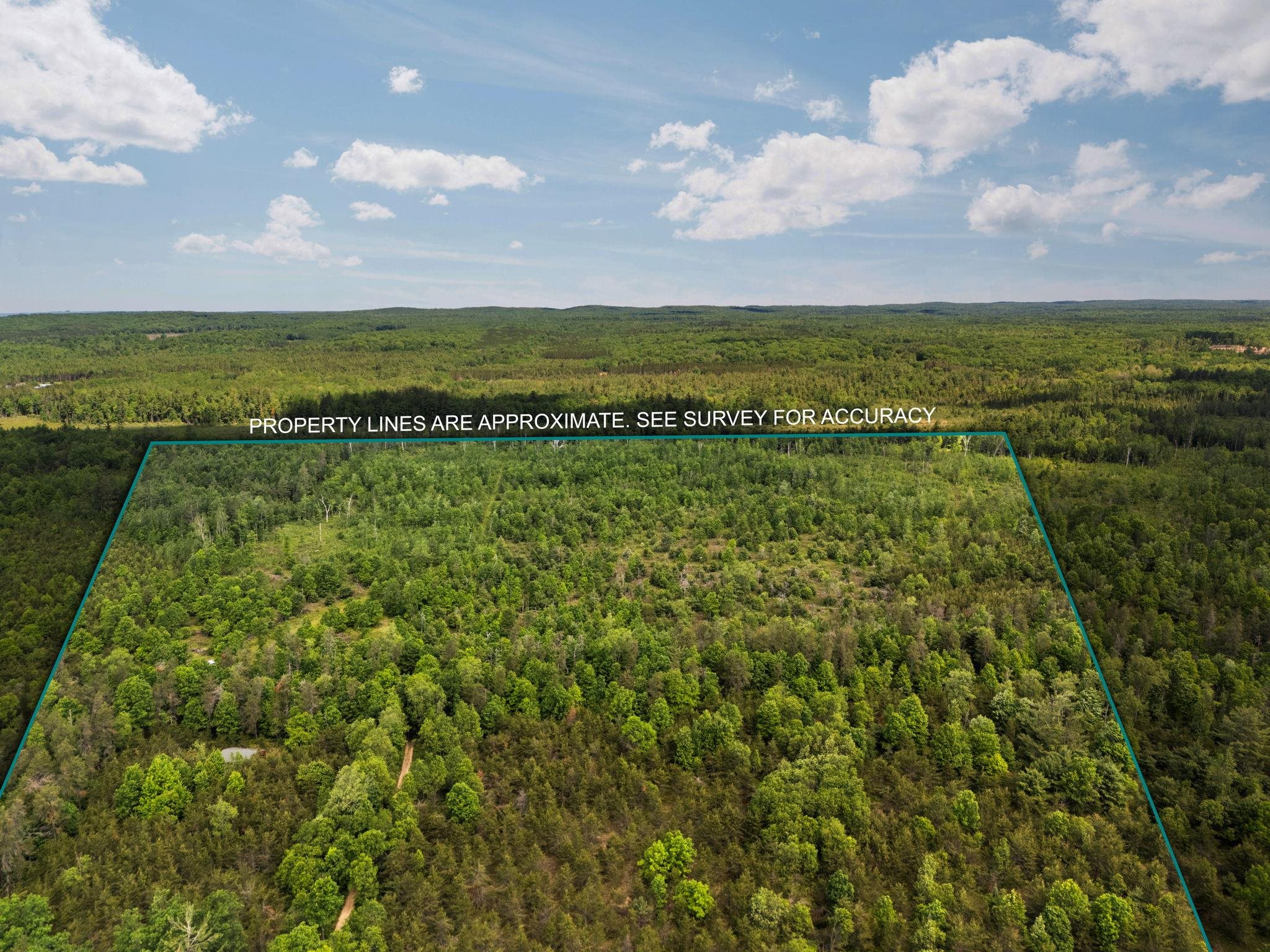 4011 West Forest Road Lake City, MI 49651 - Photo 2 of 36