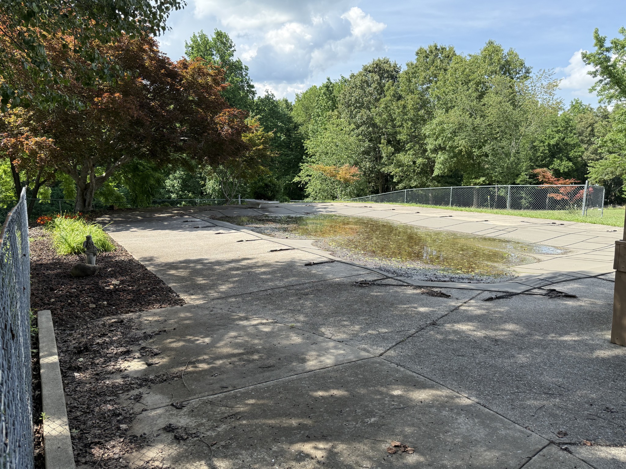 3168 Maxey Road Cedar Hill, TN 37032 - Photo 15 of 40 a view of a yard with an trees