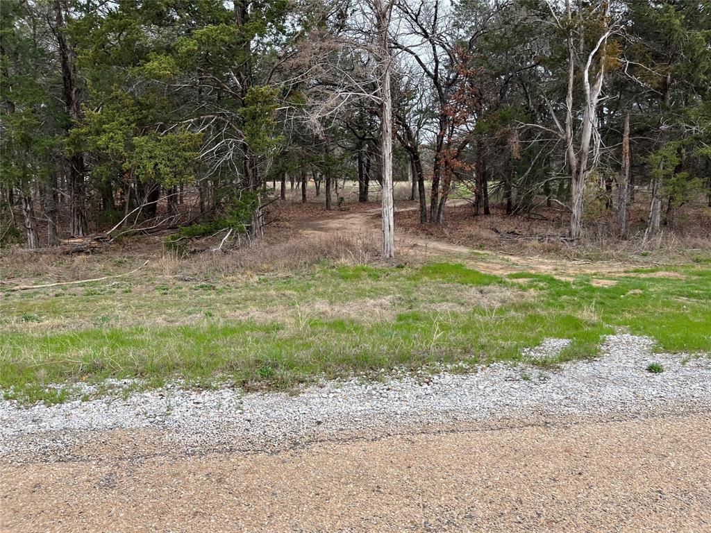 Lot 19 Cedar Springs Drive Decatur, TX 76234 - Photo 5 of 22