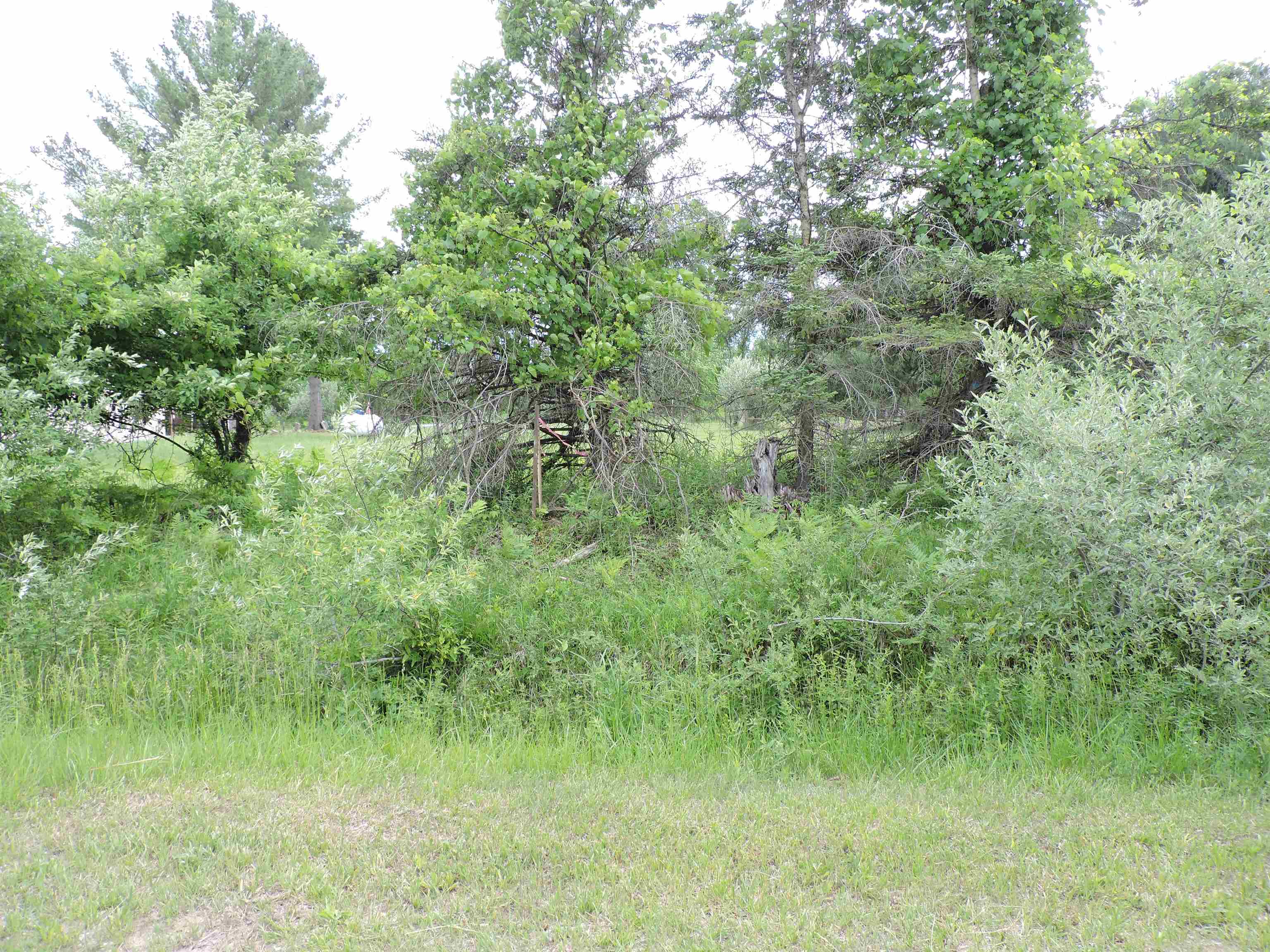 6686 Keystone Road Turner, MI 48765 - Photo 27 of 30