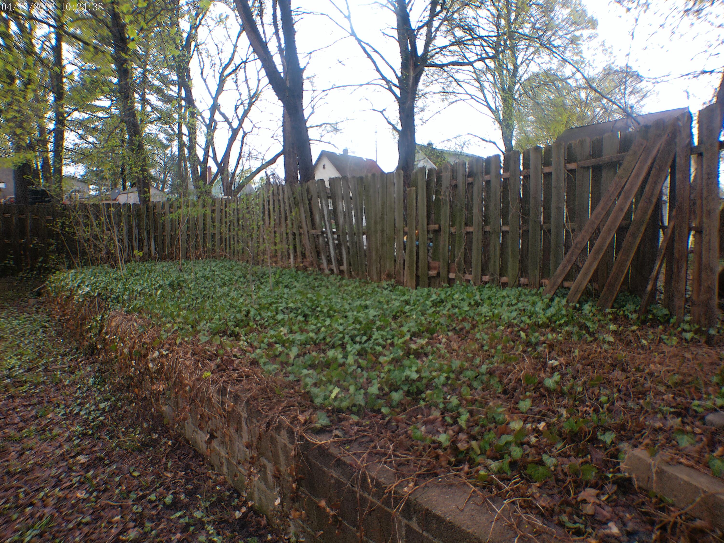 426 Madison Street Jackson, MI 49202 - Photo 3 of 3 Backyard space