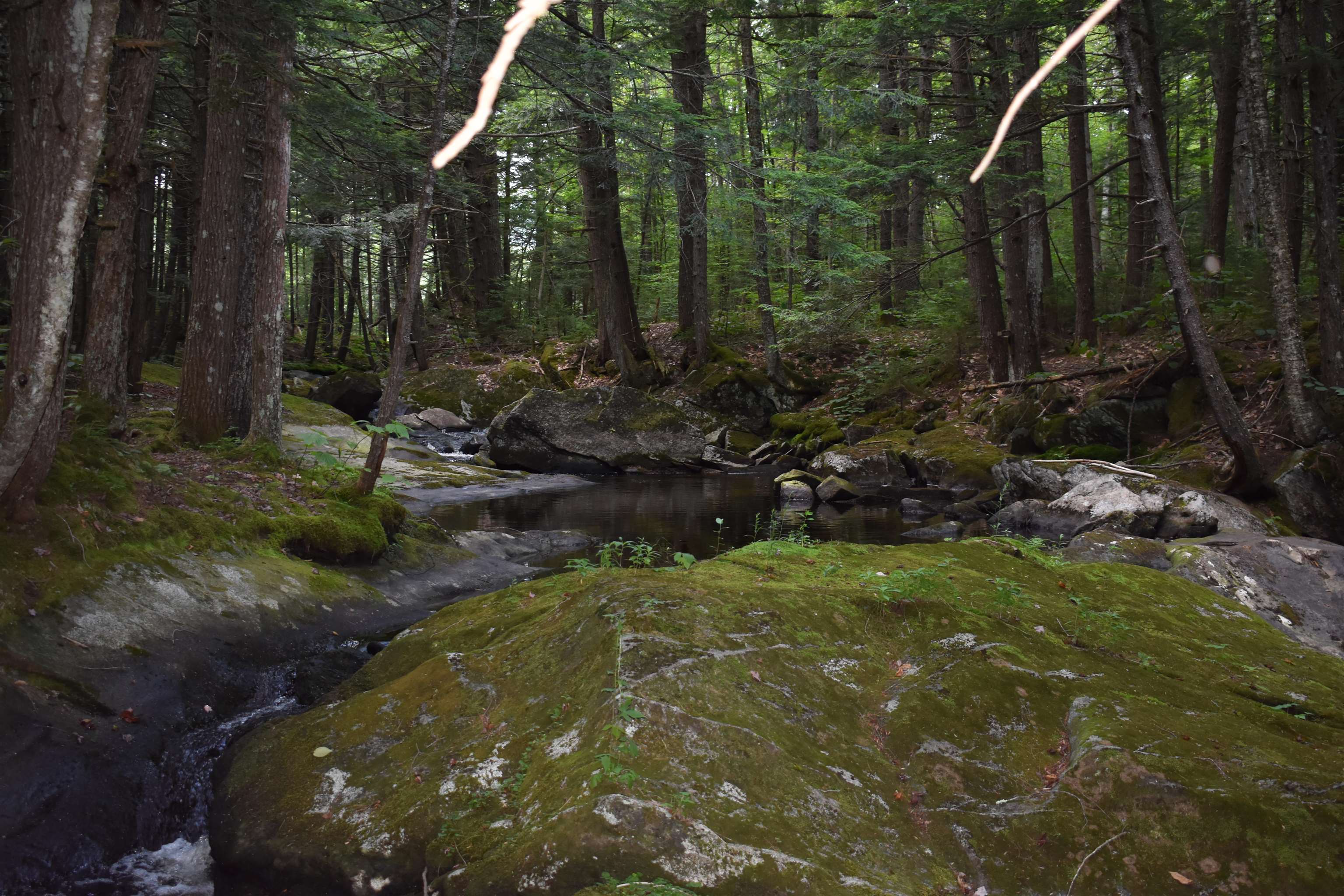 257 Rowentown Road Wentworth, NH 03282 - Photo 14 of 19