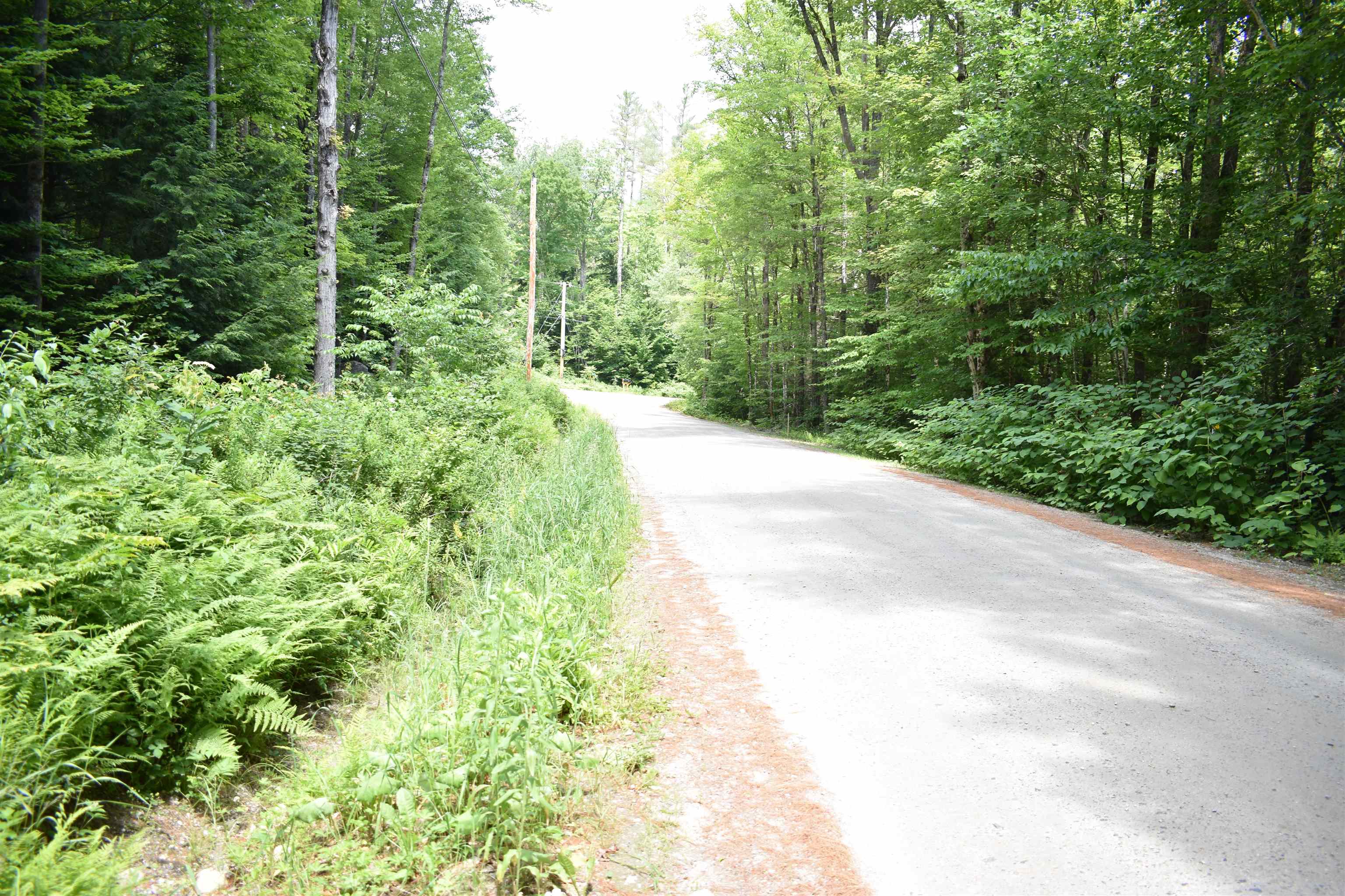 257 Rowentown Road Wentworth, NH 03282 - Photo 3 of 19
