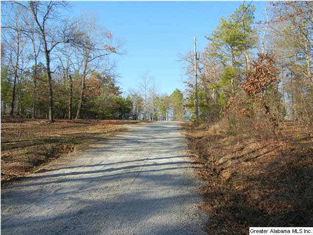 5890 Fletcher Road McCalla, AL 35111 - Photo 16 of 16