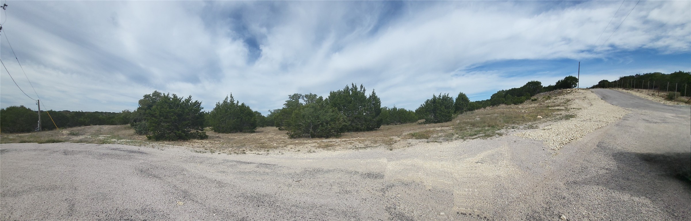 a view of a dry space with trees in the background