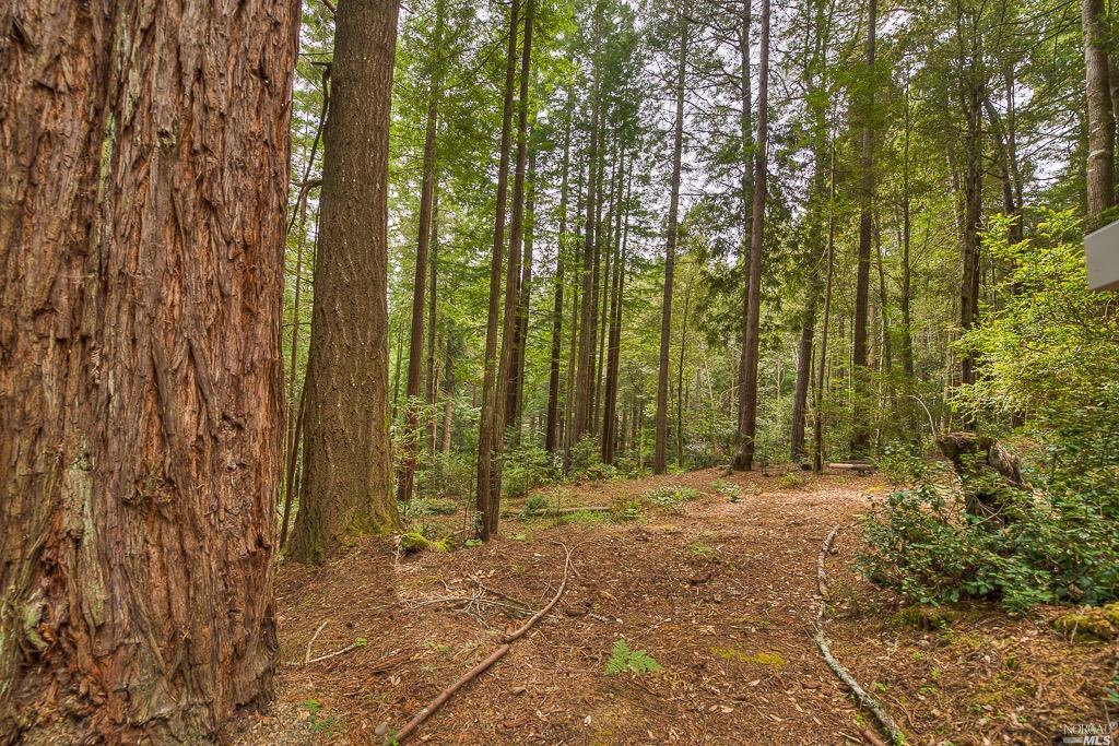 22051 Rust Drive Timber Cove, CA 95450 - Photo 1 of 1 a view of room with trees