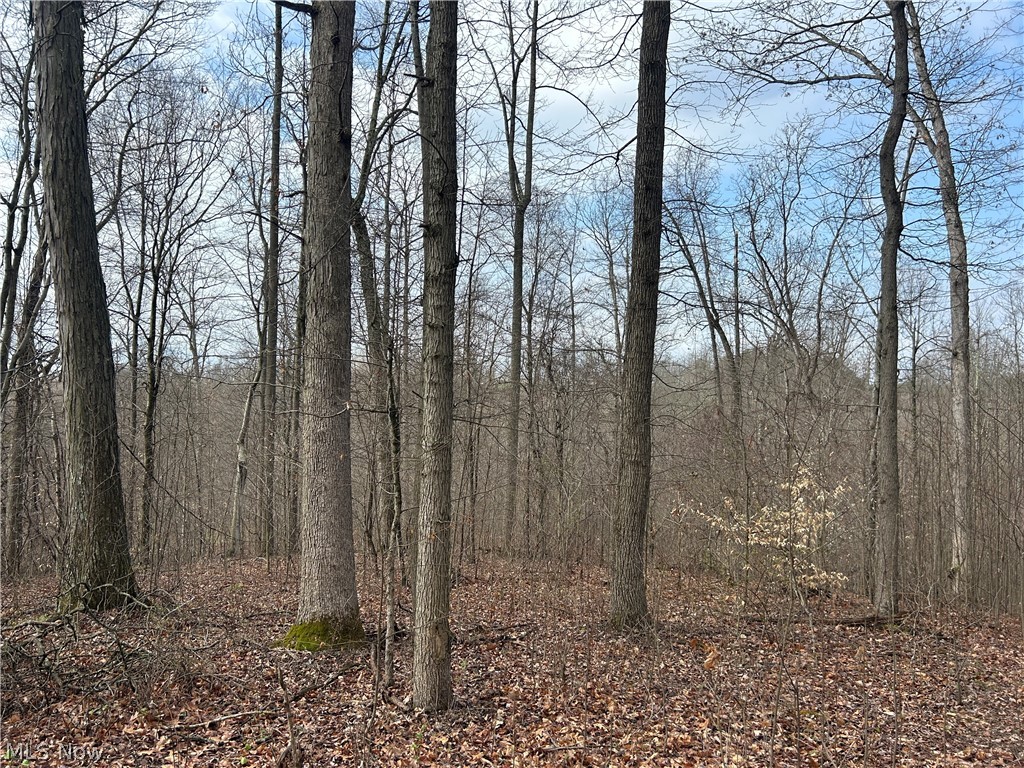 Wilbur Bush Road Crooksville, OH 43731 - Photo 15 of 19