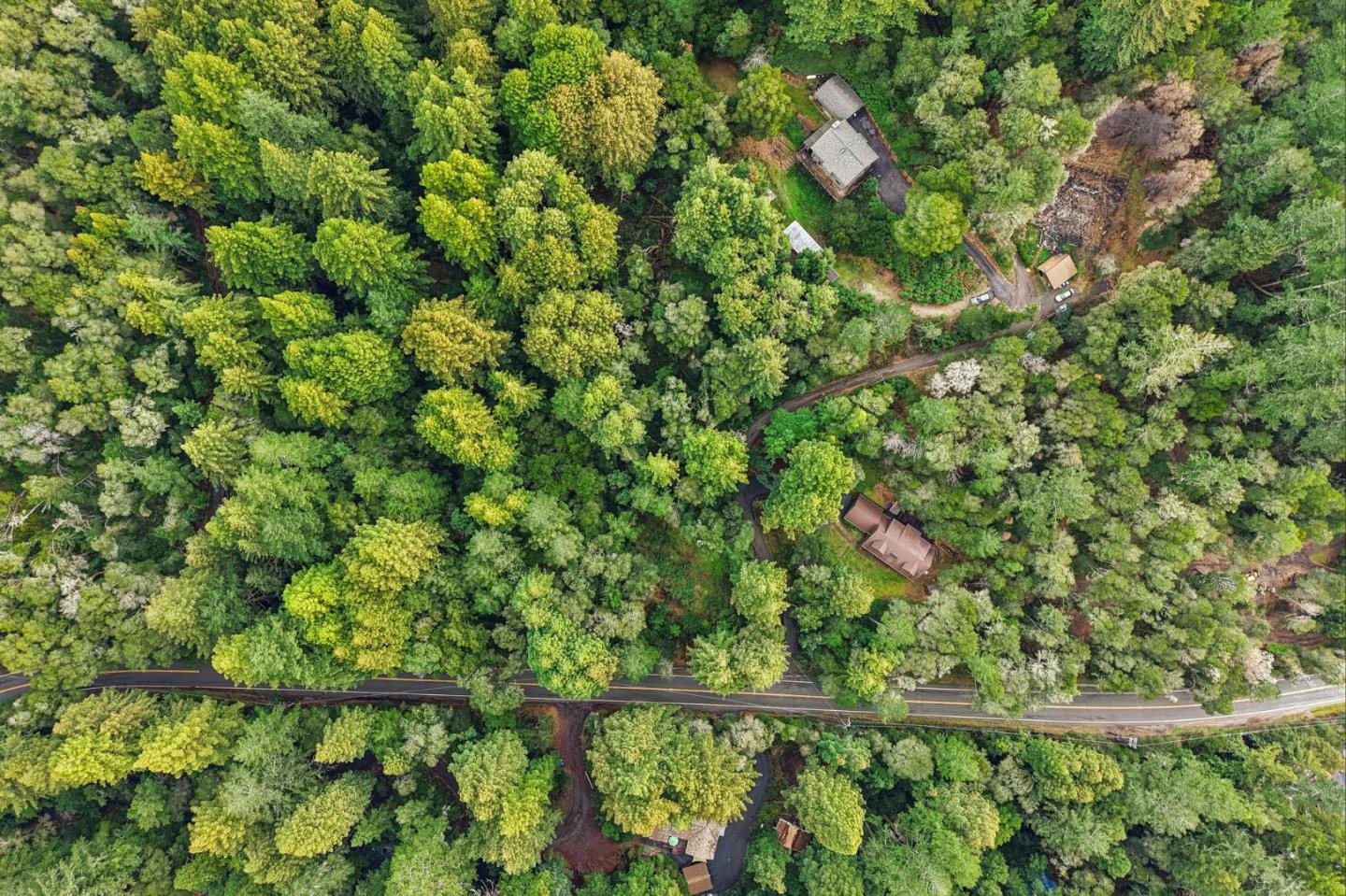 17386 Tressel Pass Road Boulder Creek, CA 95006 - Photo 31 of 41 a backyard of a house with lots of plants