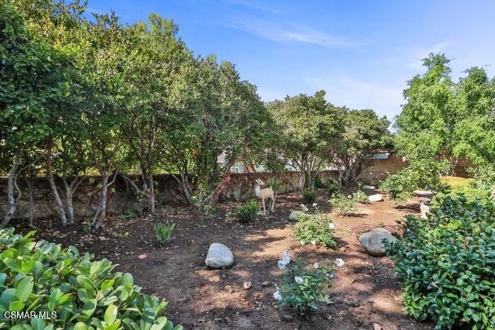 2379 Welcome Court Simi Valley, CA 93063 - Photo 48 of 49 a view of a backyard of a house