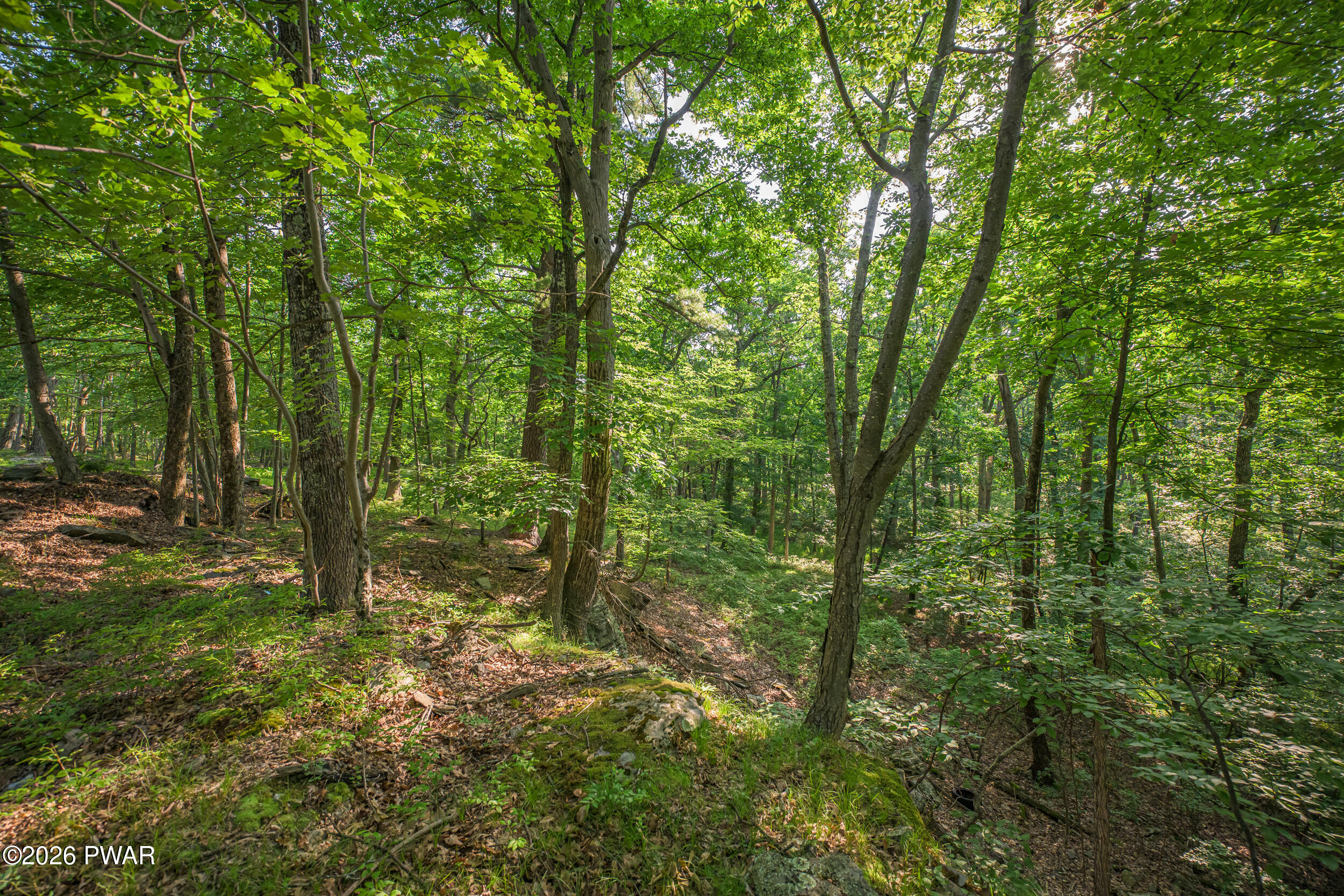High Ridge Dingmans Ferry, PA 18328 - Photo 41 of 63