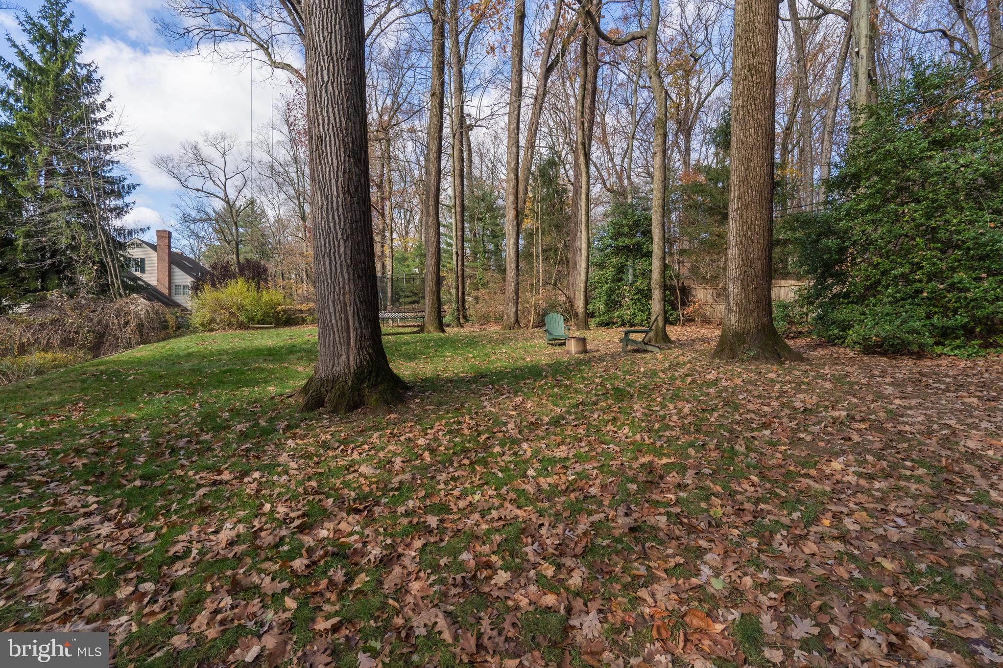 8 Paul Road Wayne, PA 19087 - Photo 60 of 64 Spacious Rear Yard