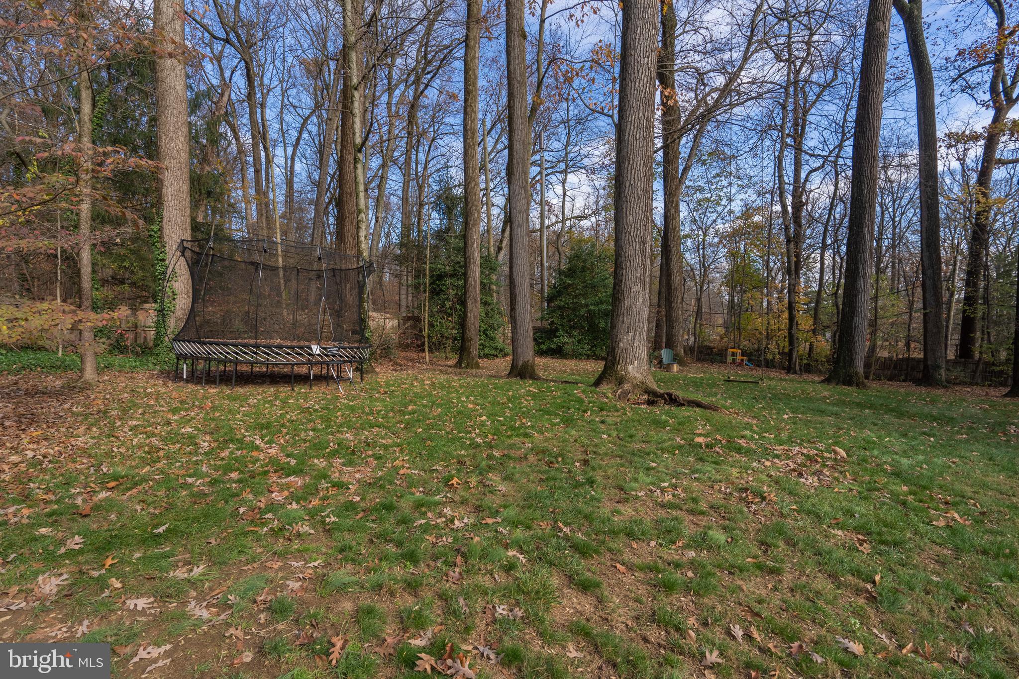 8 Paul Road Wayne, PA 19087 - Photo 61 of 64 Spacious Rear Yard